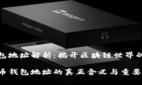 虚拟币钱包地址解析：揭开区块链世界的神秘面纱

揭秘虚拟币钱包地址的真正含义与重要性