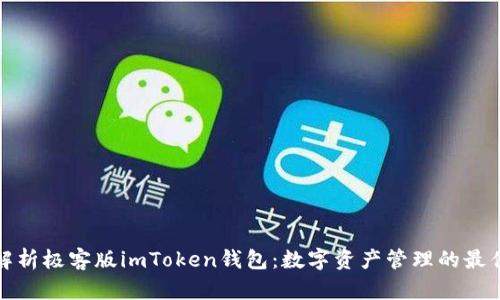 全面解析极客版imToken钱包：数字资产管理的最佳选择