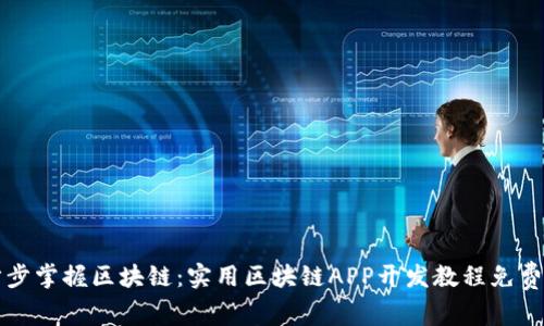 一步步掌握区块链：实用区块链APP开发教程免费下载