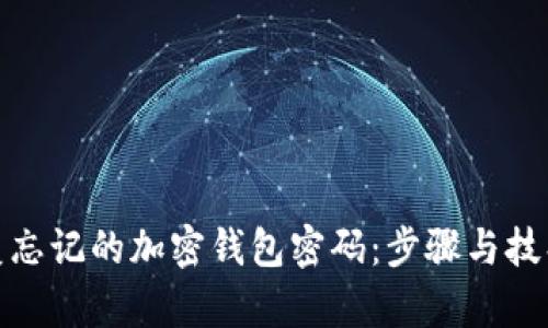 如何恢复忘记的加密钱包密码：步骤与技巧大揭秘