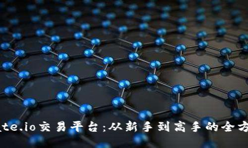 探索Gate.io交易平台：从新手到高手的全方位指南