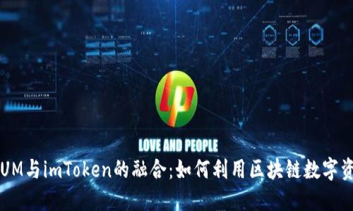 探索QTUM与imToken的融合：如何利用区块链数字资产管理