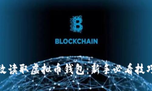 如何高效读取虚拟币钱包：新手必看技巧与建议