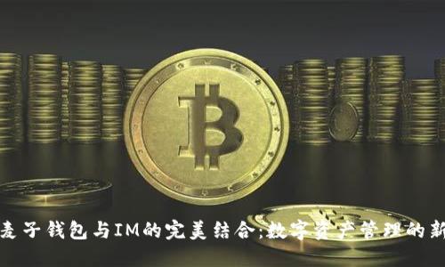 探索麦子钱包与IM的完美结合：数字资产管理的新纪元