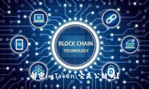 解密imToken：它是公链吗？