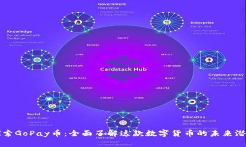 探索GoPay币：全面了解这款数字货币的未来潜力