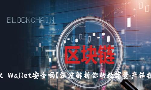 Trust Wallet安全吗？深度解析你的数字资产保护之道