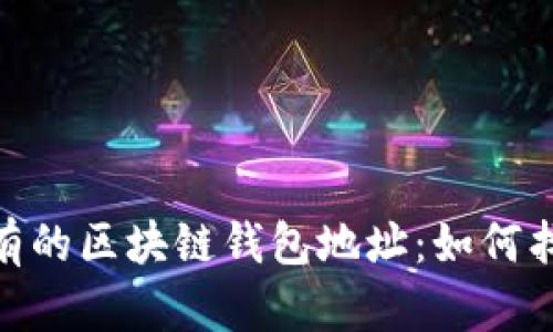 探索全球最富有的区块链钱包地址：如何找到财富的踪迹