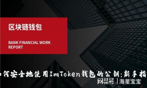 如何安全地使用ImToken钱包的公钥：新手指南