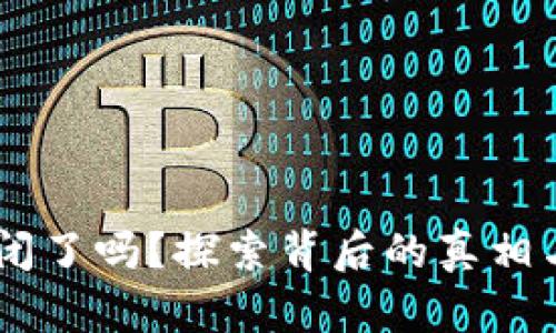 MY钱包倒闭了吗？探索背后的真相与用户影响