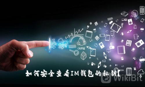 如何安全查看IM钱包的私钥？