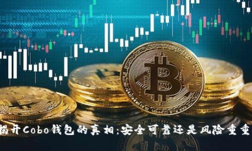 揭开Cobo钱包的真相：安全可靠还是风险重重？