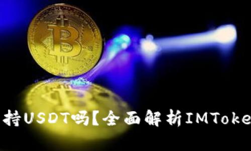 imToken钱包支持USDT吗？全面解析IMToken与USDT的关系