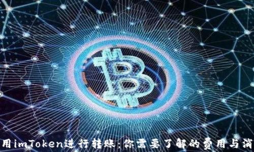 
使用imToken进行转账：你需要了解的费用与消耗