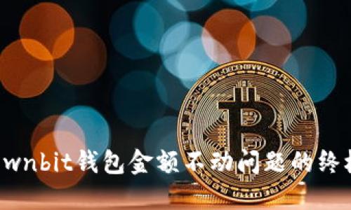 解决Ownbit钱包金额不动问题的终极指南