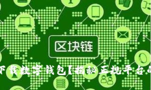 如何安全下载数字钱包？揭秘正规平台的选择技巧