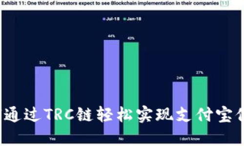 如何通过TRC链轻松实现支付宝付款？