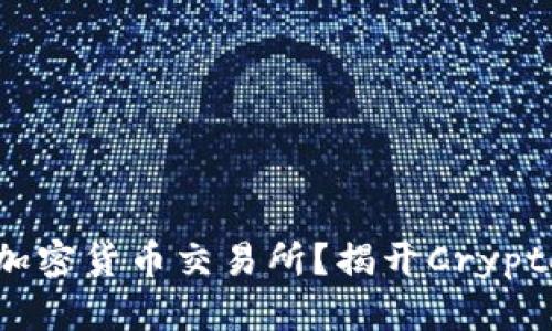 什么是加密货币交易所？揭开Crypto的秘密