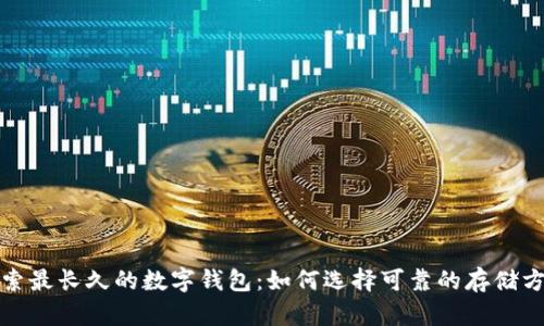 探索最长久的数字钱包：如何选择可靠的存储方案