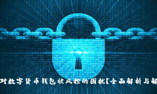 如何应对数字货币钱包被风控的困扰？全面解析与解决方案