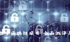 深入探索区块链项目：全面测评与分析
