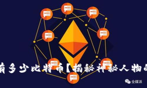 中本聪拥有多少比特币？揭秘神秘人物的财富之谜