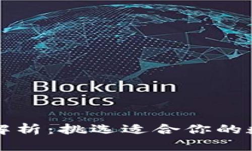 虚拟币钱包全面解析：挑选适合你的数字货币存储方案