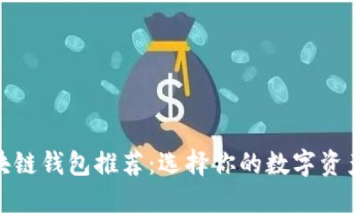 最佳区块链钱包推荐：选择你的数字资产守护者