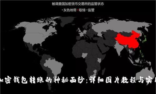 揭开加密钱包转账的神秘面纱：详细图片教程与实用技巧