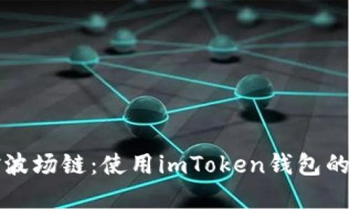 轻松掌控波场链：使用imToken钱包的终极指南