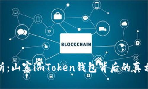 深入解析：山寨imToken钱包背后的真相与风险
