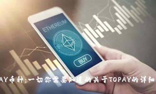 TOPAY币种：一切你需要知道的关于TOPAY的详细解析