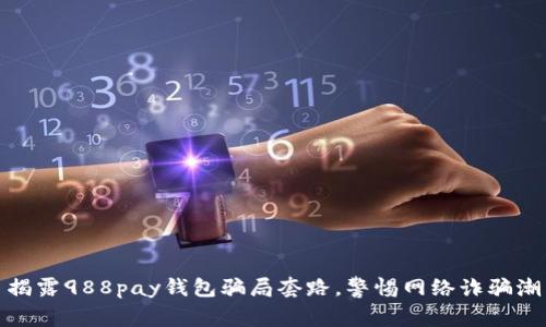 揭露988pay钱包骗局套路，警惕网络诈骗潮