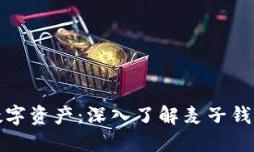 安全托管你的数字资产：深入了解麦子钱包的优势与功能