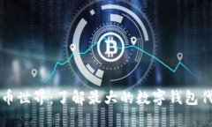 畅游数字货币世界：了解最大的数字钱包代币及