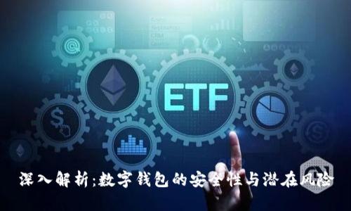 深入解析：数字钱包的安全性与潜在风险