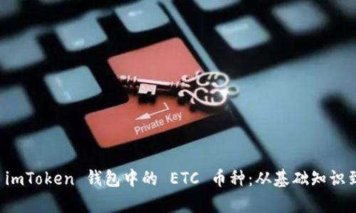 全面解析 imToken 钱包中的 ETC 币种：从基础知识到操作指南