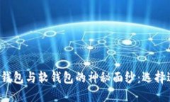 揭开虚拟币硬钱包与软钱包的神秘面纱：选择适