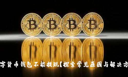数字货币钱包不能提现？探索常见原因与解决方案