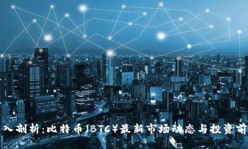 深入剖析：比特币（BTC）最新市场动态与投资前景