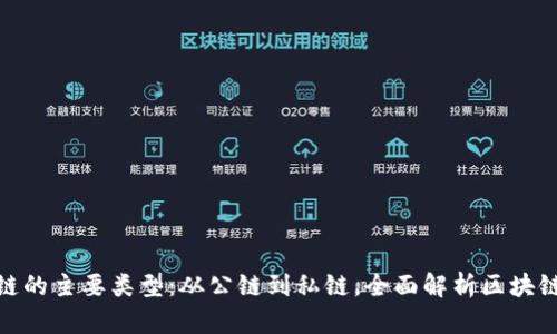 探索区块链的主要类型：从公链到私链，全面解析区块链的多样性