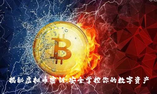 揭秘虚拟币密钥：安全掌控你的数字资产