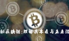 探秘区块链：理解其本质与未来潜力