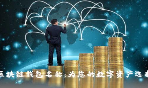 探索最佳区块链钱包名称：为您的数字资产选择完美伴侣