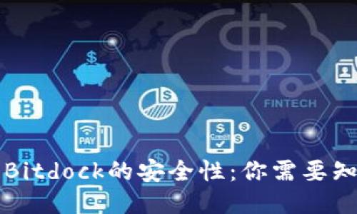 深入探讨Bitdock的安全性：你需要知道的一切
