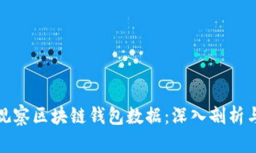 如何有效观察区块链钱包数据：深入剖析与实用技巧