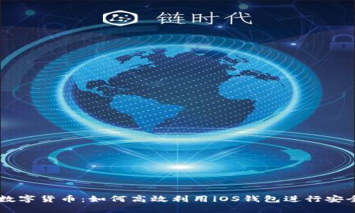 掌握数字货币：如何高效利用iOS钱包进行安全交易