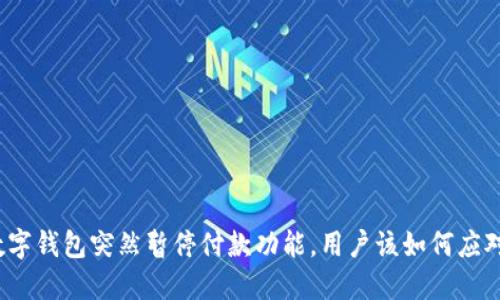 数字钱包突然暂停付款功能，用户该如何应对？
