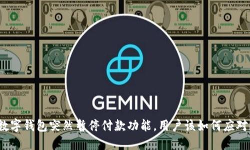 数字钱包突然暂停付款功能，用户该如何应对？