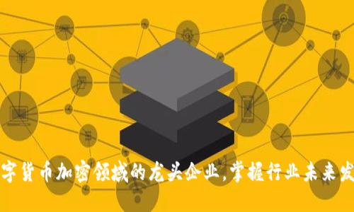 揭秘数字货币加密领域的龙头企业，掌握行业未来发展方向